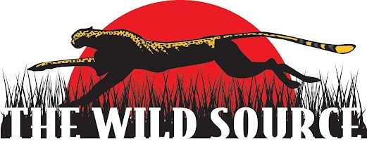 The Wild Source Logo