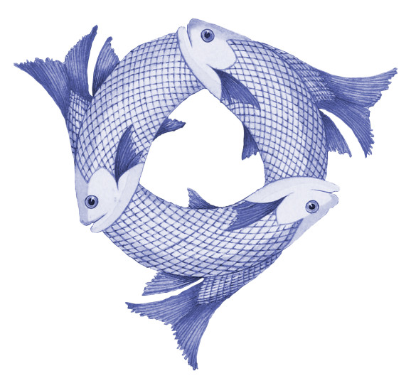 Trinity Episcopal Church Asheville, NC Careers and Employment American Guild of Organists