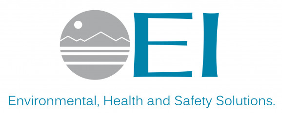 The EI Group, Inc. logo
