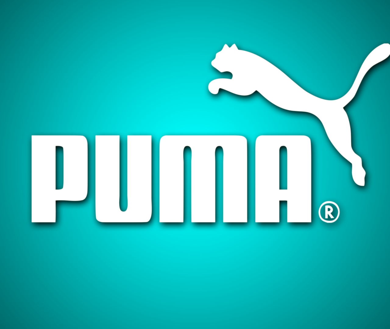 where is puma brand from