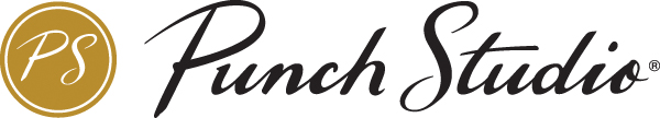 Punch Studio logo