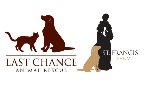 Sale last chance animal rescue centre Best Sale