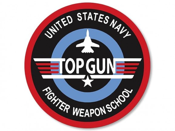 Naval Air Station Fallon Logo